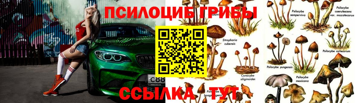 Ноябрьск  Псилоцибиновые грибы ЛСД  Вход с VPN 